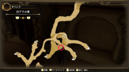 白アリの巣のマップ