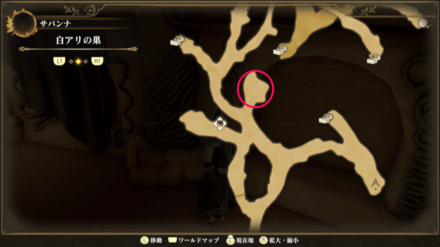 白アリの巣のマップ