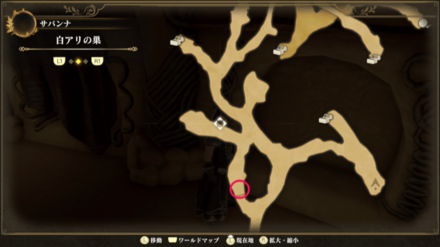 白アリの巣のマップ