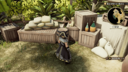 ビハラの場所の見た目