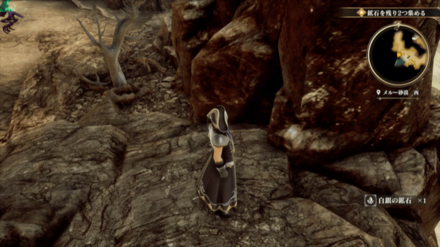 メルー砂漠 西の場所の見た目