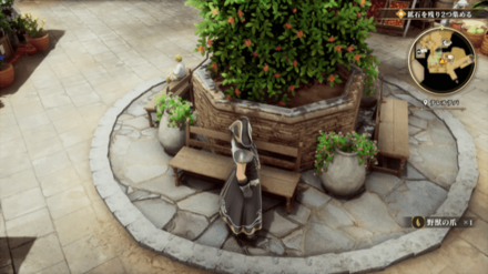 テレルテバの場所の見た目