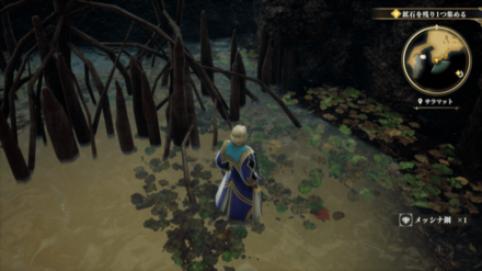 サラマットの場所の見た目