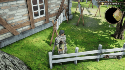 ツキジマの場所の見た目