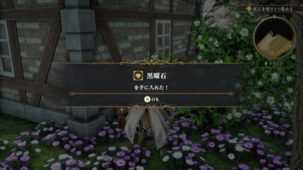 ツキジマの場所の見た目