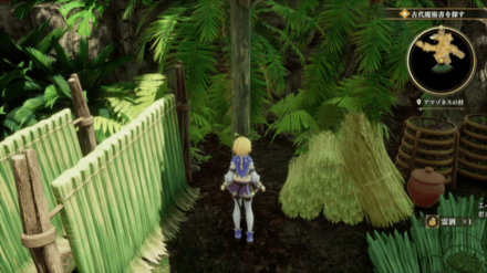 アマゾネスの村の場所の見た目