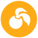 きのみバーストのアイコン