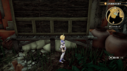 エイルネップの場所の見た目