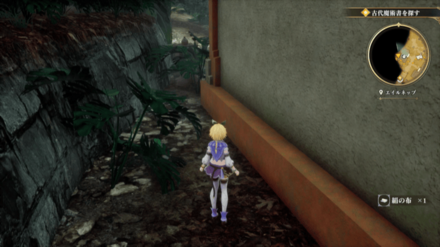 エイルネップの場所の見た目