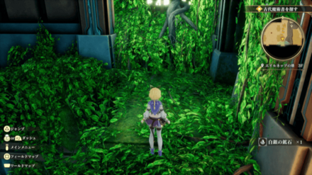 エイルネップの塔3Fの場所の見た目