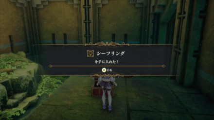 エイルネップの塔5Fの場所の見た目