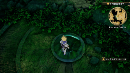 エイルネップの塔5Fの場所の見た目