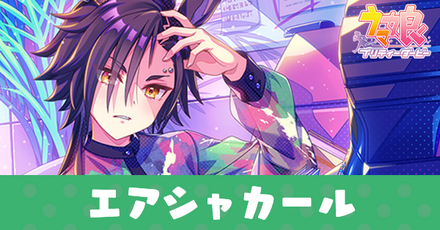 ［Cocoon］エアシャカール