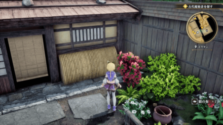 ユウヤンの場所の見た目