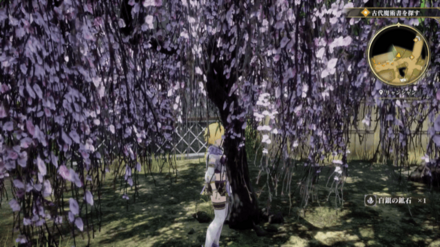 リャンシャンの場所の見た目