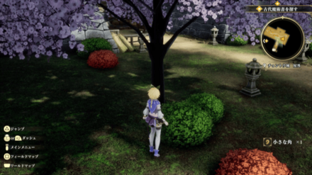 チョントウ城 屋外の場所の見た目