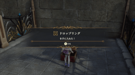 ハクロ城の場所の見た目