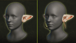 竜人族の耳