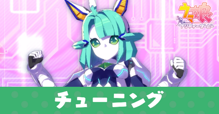 チューニングの割り振りおすすめと効果