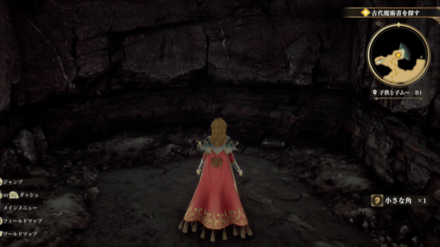 子供と子ムーB1の場所の見た目