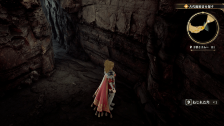 子供と子ムーB1の場所の見た目