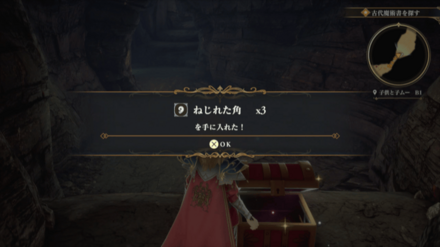 子供と子ムーB1の場所の見た目