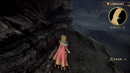 子供と子ムーB1の場所の見た目