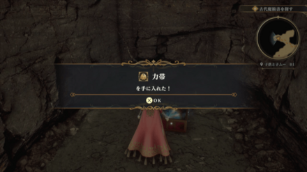 子供と子ムーB1の場所の見た目