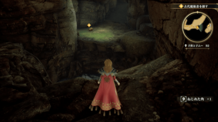 子供と子ムーB2の場所の見た目