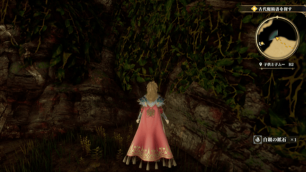 子供と子ムーB2の場所の見た目