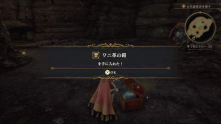 子供と子ムーB2の場所の見た目