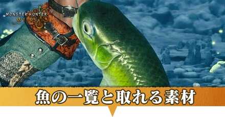 魚一覧と取れる素材