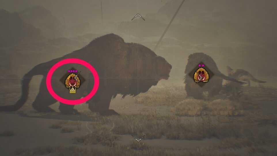 双眼鏡で冠確認