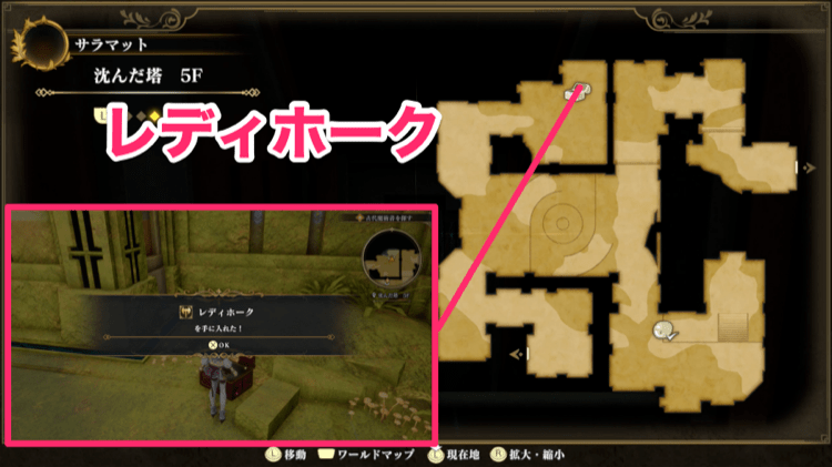 レディホーク