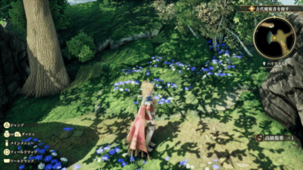 ハリア半島の場所の見た目