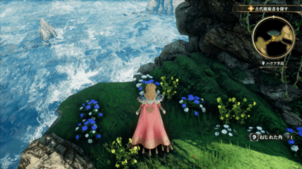 ハリア半島の場所の見た目