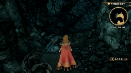 ハリア半島 洞窟の場所の見た目