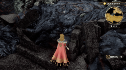 ゼミオの場所の見た目