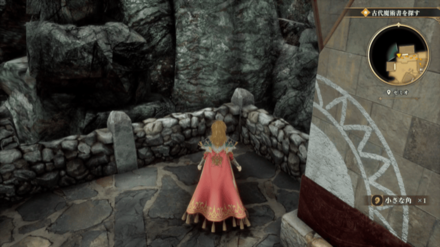 ゼミオの場所の見た目