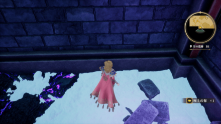 雪の遺跡 B1の場所の見た目