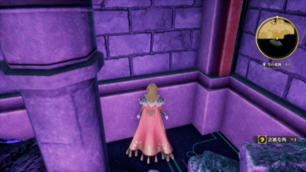 雪の遺跡 B2の場所の見た目