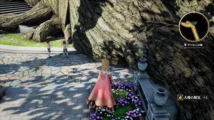 アバロンの園の場所の見た目