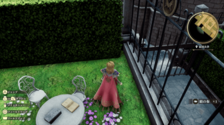 帝国大学の場所の見た目