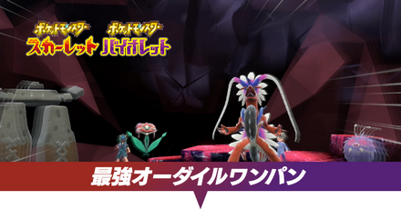 最強オーダイルワンパン