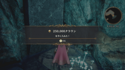 封印の地 地下の場所の見た目