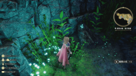 封印の地 地下奥部の場所の見た目