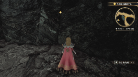 白アリの巣の場所の見た目