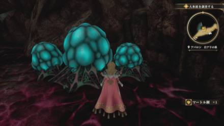 白アリの巣の場所の見た目