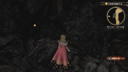 白アリの巣の場所の見た目