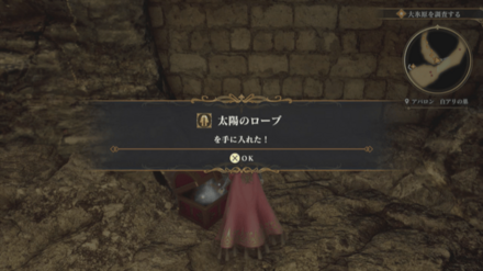 白アリの巣の場所の見た目